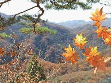 松川汽车价格，松川客服电话