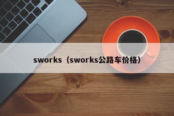 sworks（sworks公路车价格）