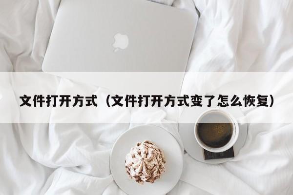 文件打开方式（文件打开方式变了怎么恢复）