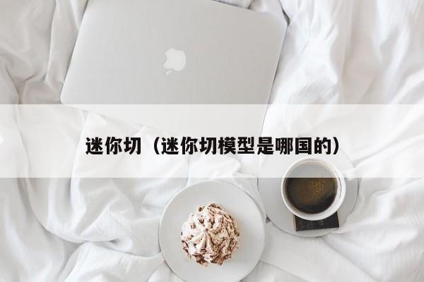 迷你切（迷你切模型是哪国的）