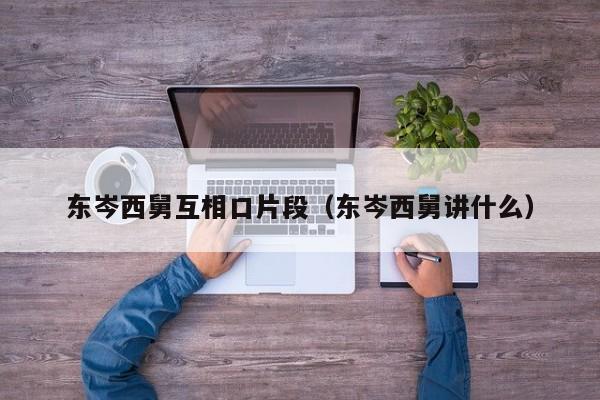 东岑西舅互相口片段（东岑西舅讲什么）