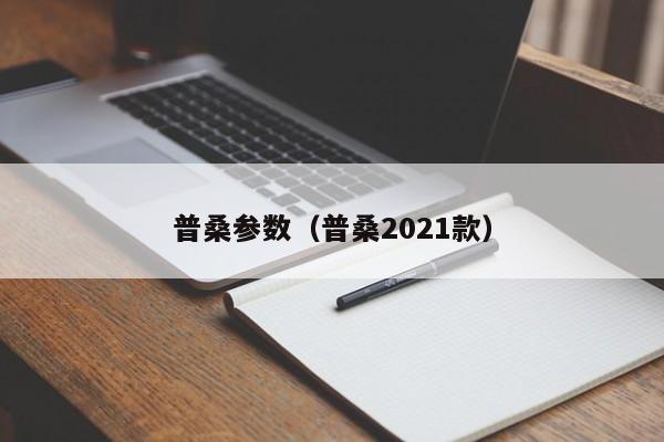 普桑参数（普桑2021款）