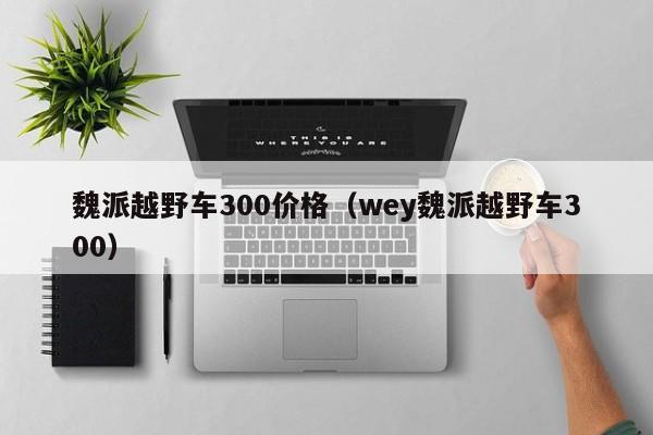 魏派越野车300价格（wey魏派越野车300）