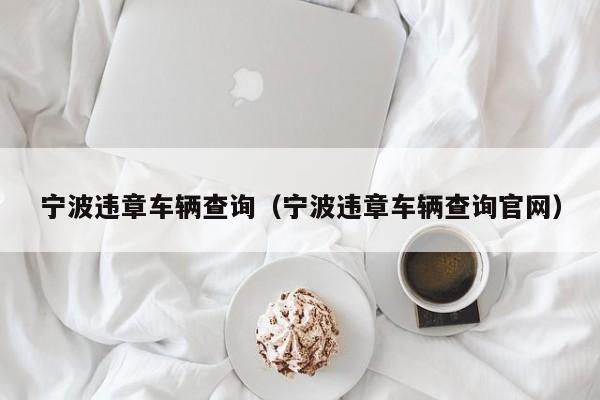 宁波违章车辆查询（宁波违章车辆查询官网）