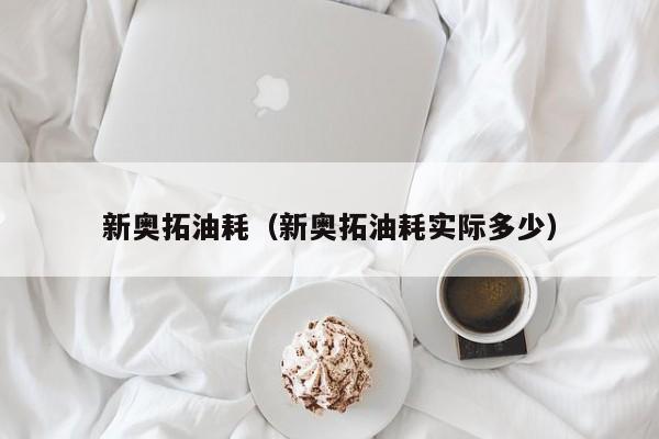新奥拓油耗（新奥拓油耗实际多少）