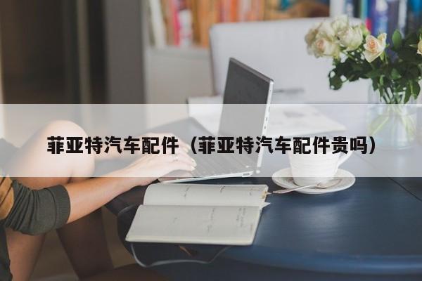 菲亚特汽车配件（菲亚特汽车配件贵吗）