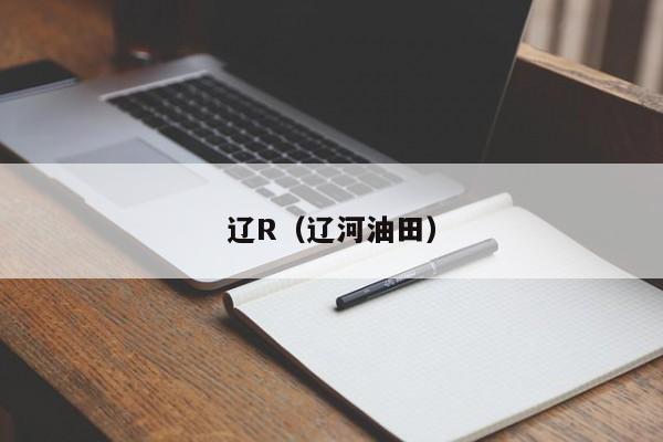 辽R（辽河油田）