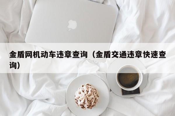 金盾网机动车违章查询（金盾交通违章快速查询）