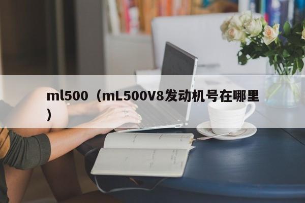 ml500（mL500V8发动机号在哪里）