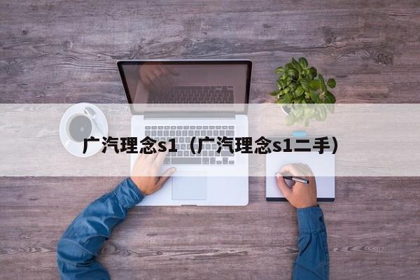广汽理念s1（广汽理念s1二手）