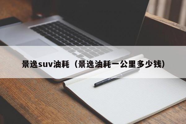 景逸suv油耗（景逸油耗一公里多少钱）