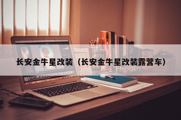 长安金牛星改装（长安金牛星改装露营车）
