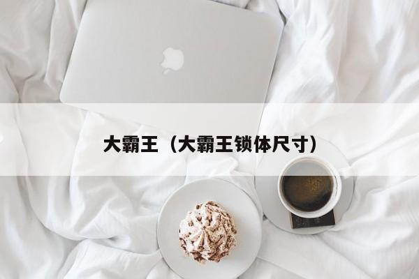 大霸王（大霸王锁体尺寸）