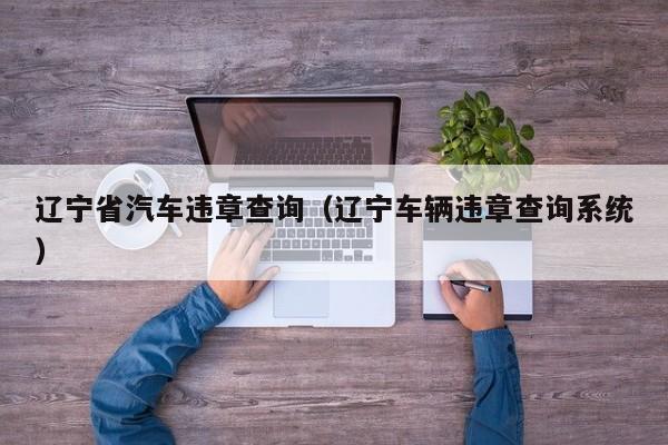 辽宁省汽车违章查询（辽宁车辆违章查询系统）