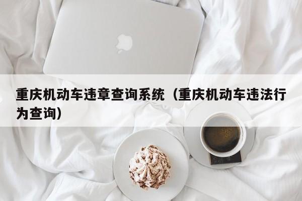 重庆机动车违章查询系统（重庆机动车违法行为查询）