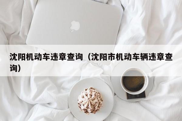 沈阳机动车违章查询（沈阳市机动车辆违章查询）