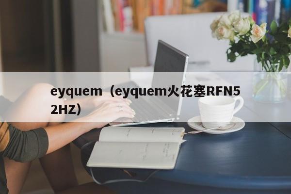 eyquem（eyquem火花塞RFN52HZ）