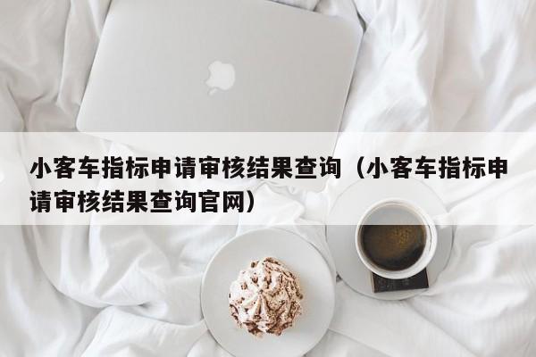 小客车指标申请审核结果查询（小客车指标申请审核结果查询官网）