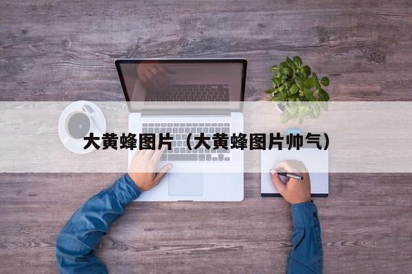 大黄蜂图片（大黄蜂图片帅气）