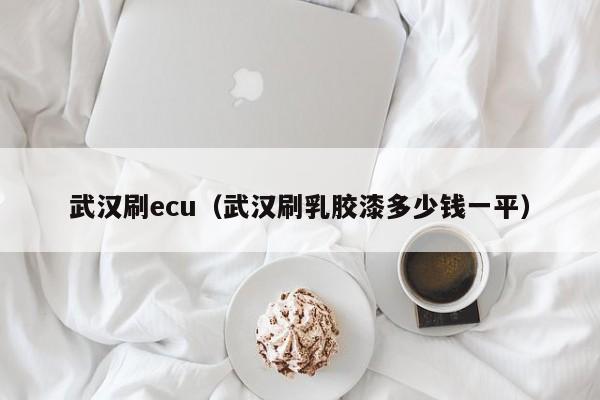 武汉刷ecu（武汉刷乳胶漆多少钱一平）