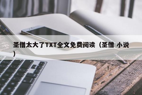 圣僧太大了TXT全文免费阅读（圣僧 小说）