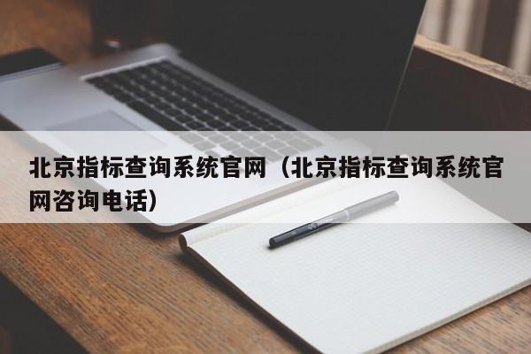 北京指标查询系统官网（北京指标查询系统官网咨询电话）