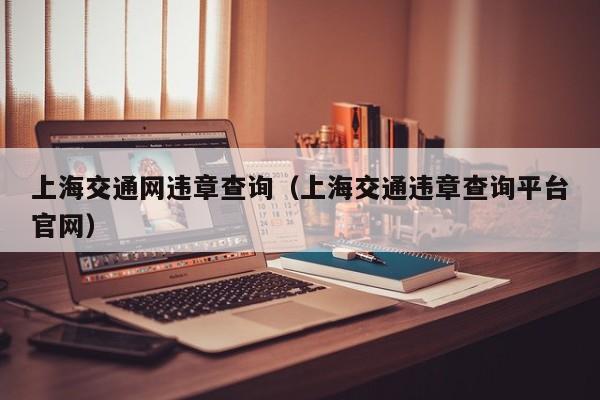 上海交通网违章查询（上海交通违章查询平台官网）