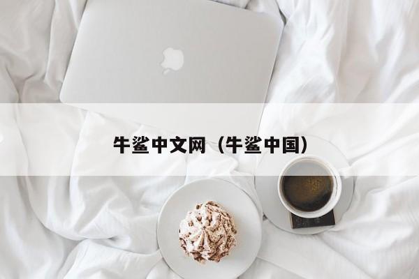 牛鲨中文网（牛鲨中国）