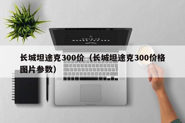 长城坦途克300价（长城坦途克300价格图片参数）