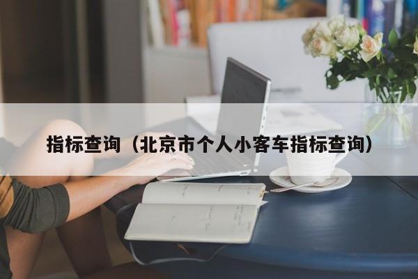 指标查询（北京市个人小客车指标查询）