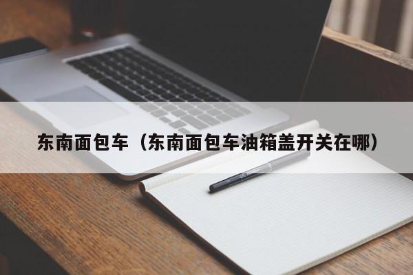 东南面包车（东南面包车油箱盖开关在哪）