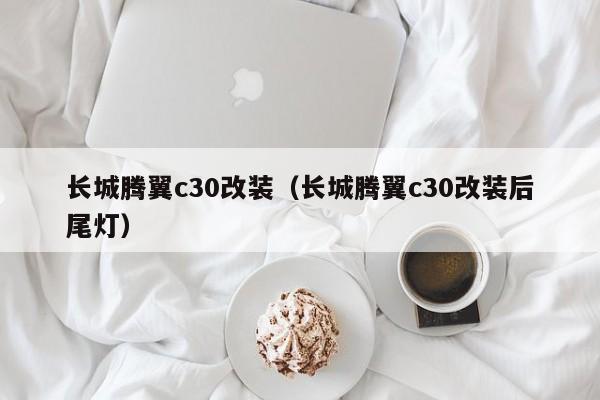 长城腾翼c30改装（长城腾翼c30改装后尾灯）