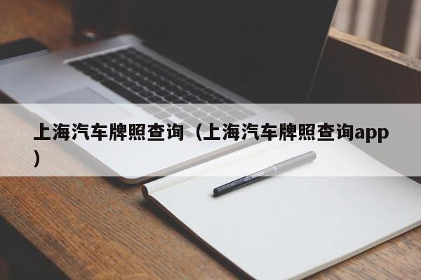上海汽车牌照查询（上海汽车牌照查询app）