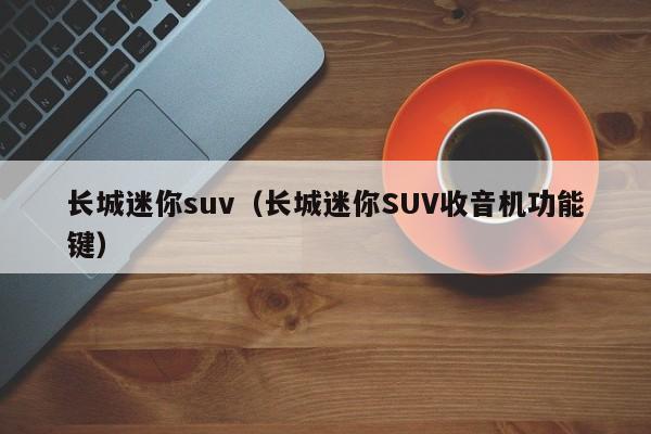 长城迷你suv（长城迷你SUV收音机功能键）