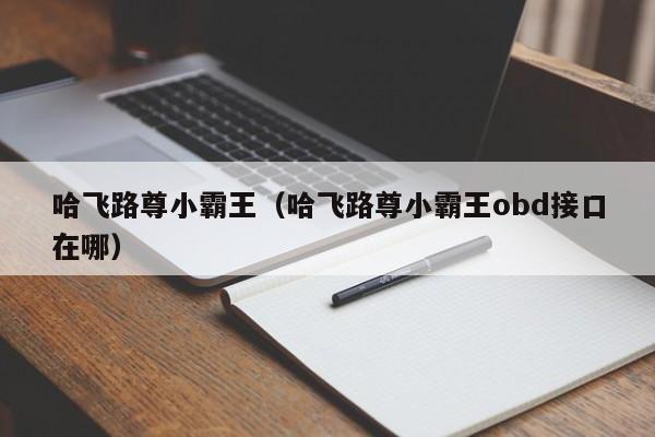哈飞路尊小霸王（哈飞路尊小霸王obd接口在哪）